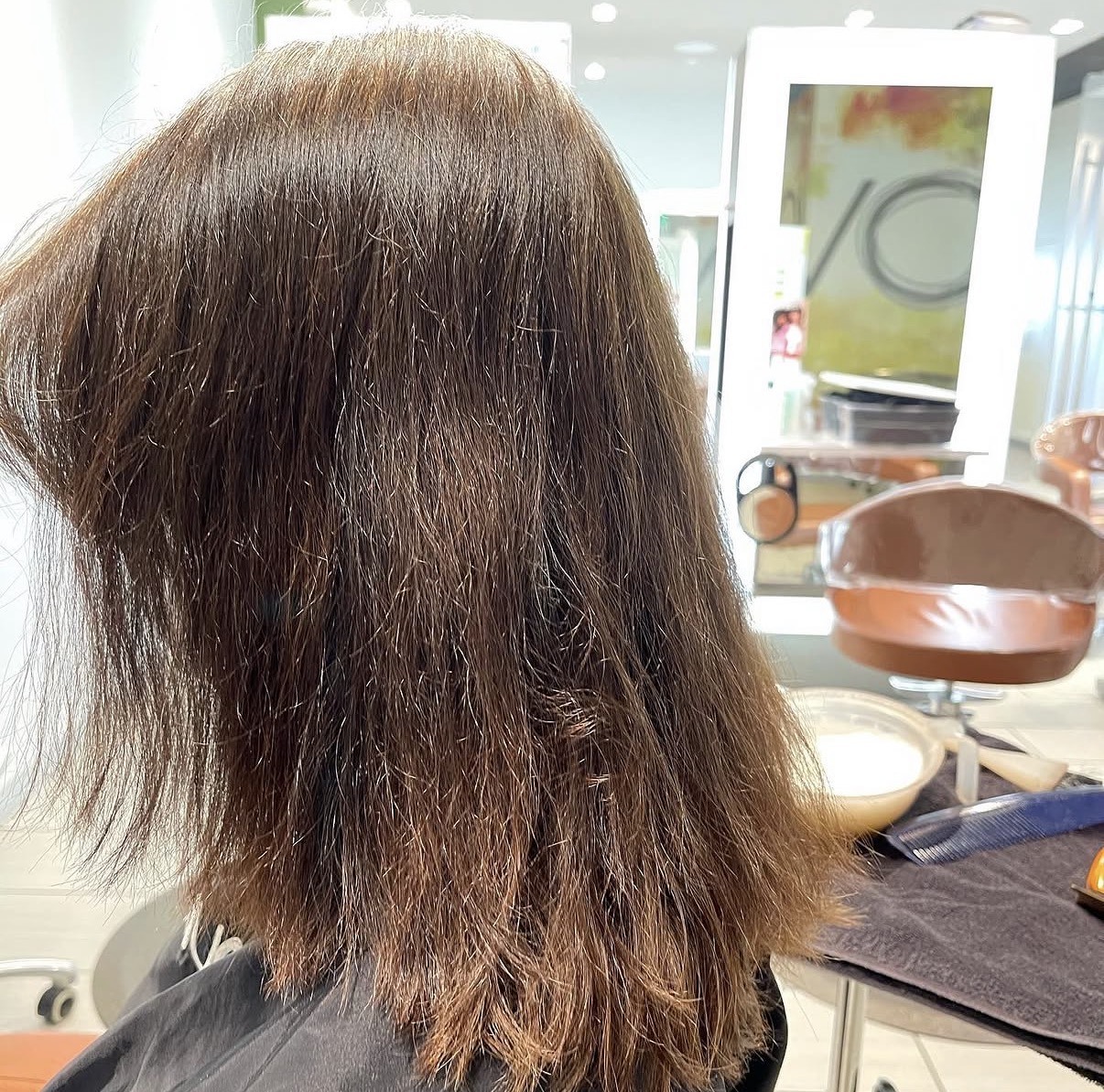 Before: client hair photographed for a color or haircut appointment