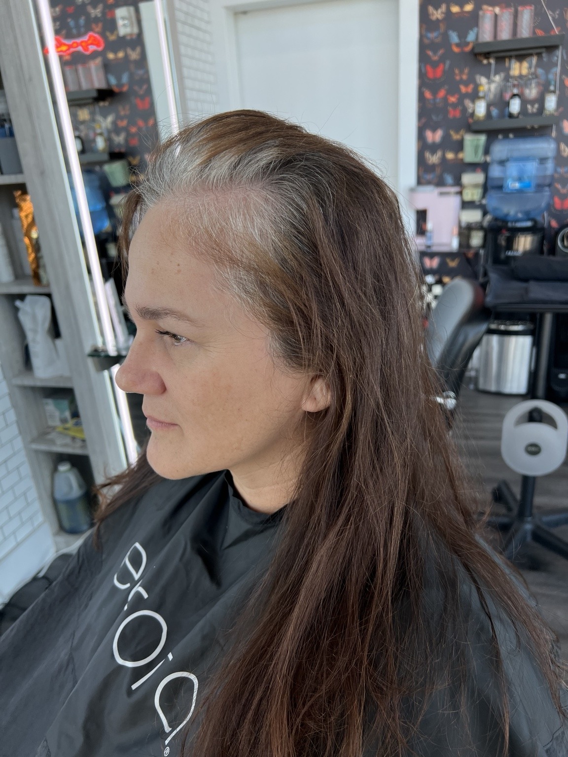 Before: client hair photographed for a color or haircut appointment